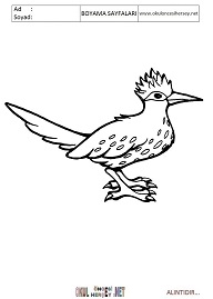 roadrunner boyama sayfaları